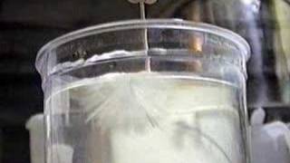 Sodium Sulfate Anhydrous Crystal Growing [upl. by Kessia]