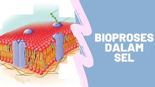 TRANSPORTASI SEL  BIOPROSES SEL SMA KELAS XI  VIDEO PRESENTASI LINK PPT DI DESKRIPSI [upl. by Abey207]