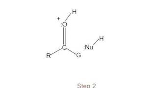 Mechanism acidcatalyzed nucleophilic addition to CO [upl. by Shepp452]