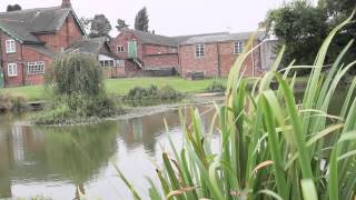 DUNSTON HEATH FARM POOL DUNSTON STAFFORD STAFFORDSHIRE [upl. by Donadee]