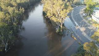 Shepparton amp Goulburn Valley Floods  January 2024 [upl. by Ynnavoig365]