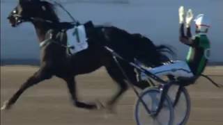 Trotto 01052017  9ª corsa  FINALE GP Lotteria [upl. by Pillyhp]