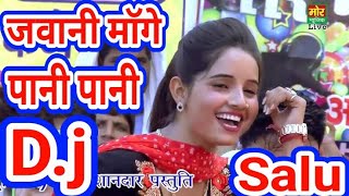 Meri Chadti Jawani Mange Pani Pani👈🎵 Dj Remix Salu Yadav 👌👈🔊 [upl. by Noteek487]