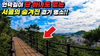 계단이 단 1개도 없는 서울 도심속 45km 나무 데크길  걷기 초보자도 쉽게 완주할 수 있는 트레킹 코스  대중교통 당일치기 여행  지하철 여행  걷는 여행 [upl. by Stander746]