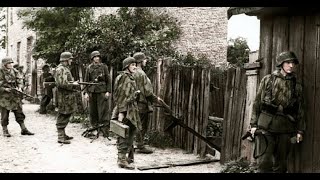 Operation Blücher The Last German Attack in France April 1945 [upl. by Esinehc339]