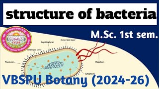 Structure Of Bacteria  Microbiology MSc botany first semester Biolife 🔥 [upl. by Tiphanie]