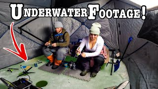 Ice fishing BELOW 0 TEMPERATURES in CLEAR WATER Underwater CAMERA [upl. by Yevreh541]