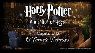 Harry Potter e o Cálice de Fogo  Capitulo 12  O Torneio Tribruxo [upl. by Ernestine802]