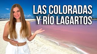 Las COLORADAS y RÍO LAGARTOS Yucatán 😍 MÉXICO [upl. by Rebmak]