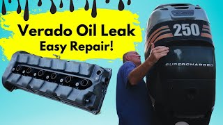 Verado Outboard Leaking Oil  How to Repair Mercury Verado Valve Cover Replacement [upl. by Emalee]