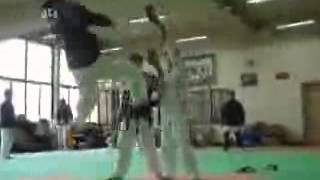 Taekwondo 540 kick ver1 [upl. by Drarehs]