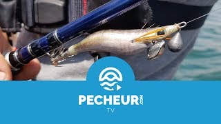 L’eging ou comment pêcher les céphalopodes à la turlutte  Tutoriel Pecheurcom [upl. by Atnom]