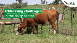 Addressing challenges in the dairy sector  Milimet Taunet Youth Group [upl. by Einnaf]