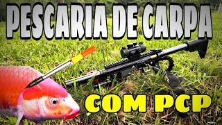 Pesca em açude com carabina pcp caçadora [upl. by Eelegna]