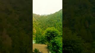 Greenery newsong song music travel [upl. by Leahci463]