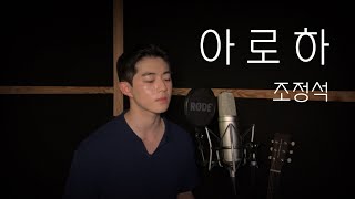 조정석  아로하 cover 슬기로운 의사생활 ost [upl. by Airtal515]