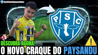 🔵⚪Confira os Detalhes da Nova Contratação do Paysandu  NOTÍCIAS DO PAYSANDU SC [upl. by Juliet]