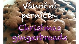 Vánoční PERNÍČKY  recept  Christmas GINGERBREAD  recipe [upl. by Seyler495]