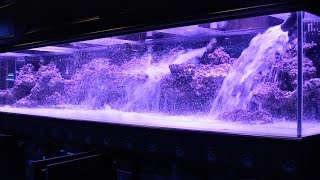 800 Aquarium pt2 Aquascape  Floating Shelf [upl. by Norrahs]