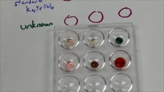 Qual Lab Ferrocyanide Test [upl. by Burta746]