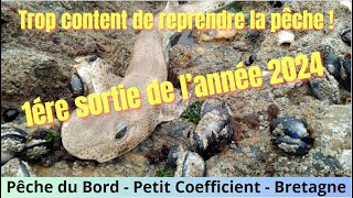 Une belle touche et cest pendu  Pêche de la Roussette en bord de mer  1er poisson de lannée [upl. by Nirtak]