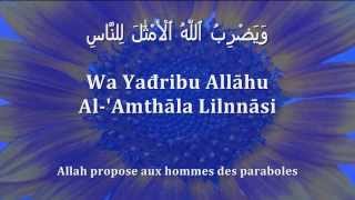 Apprendre le verset de la Lumière Sourate 24 Verset 35 arabephonétiquefrançais [upl. by Zerdna]