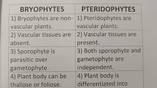 Difference Between Bryophytes And PteridophytesClass Series [upl. by Lehman539]