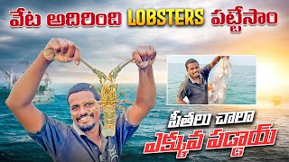 అలలలో lobster పట్టుకున్నాం  Crabs Hunting  Hari Gangaputra [upl. by Lehplar403]