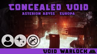 Void Warlock Flawless Concealed Void  No Weapons [upl. by Natsirhc850]