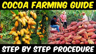 Cocoa Farming  Cocoa Cultivation  Complete Guide  Cocoa Beans Sowing  Cocoa Harvesting [upl. by Gabor]