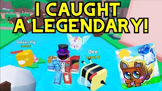 I CAUGHT A LEGENDARY IN THIS NEW GAME Pet Catchers [upl. by Mcnully]