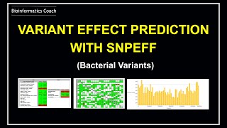 Variant Annotation and effect prediction with snpeff [upl. by Crockett]