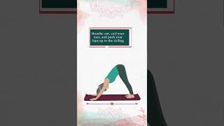 How to Do Surya Namaskar Sun Salutations for Beginners  Arhanta Yoga [upl. by Alleda]