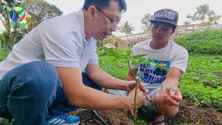 Drip Fertigation on Soil with Joel [upl. by Halland]