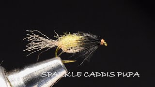 Sparkle Caddis Pupa By Charlie Craven [upl. by Oremor727]