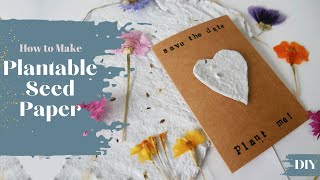 How to Make Plantable Seed Paper [upl. by Meihar]