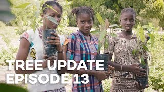 Tree Update Episode 13 [upl. by Amehsyt]