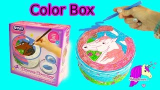 Breyer Horse Crazy Color amp Decorate Treasure Box Craft Video with Markers  Honeyhearts [upl. by Nancie547]