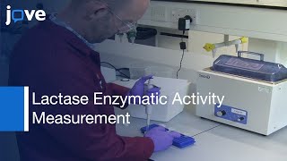 Lactase Enzymatic Activity Measurement [upl. by Vadnee]