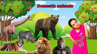 Kids rhymes Domestic animals अ से अंग poems viralpoems किड्सवीडियो P1i2h3u4T5V [upl. by Siegel459]