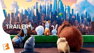 MASCOTAS 2  Tráiler 2 Universal Pictures  HD [upl. by Ma]