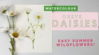 Watercolour Oxeye Daisies  Simple Summer Wildflowers [upl. by Adner]