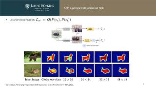 3SD SelfSupervised Saliency Detection With No Labels [upl. by Krahmer]