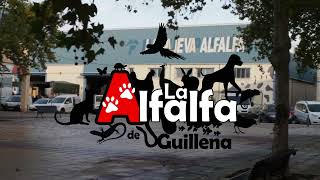 La Alfalfa de Guillena [upl. by Adian]