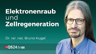 Silicium und Hochfrequenz Die faszinierende Verbindung für die Gesundheit  Naturmedizin  QS24 [upl. by Godfry]