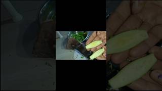 Potol Bata recipe shorts viral cooking recipe potol [upl. by Roberts]