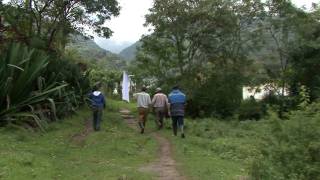 Battle between Colombian military and FARC rebels [upl. by Tess]