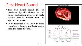 Heart Sounds  Phonocardiogram [upl. by Eceinahs613]