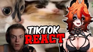 VTuber Reacts to TikToks to Make You Feel Poor💸 [upl. by Procto]