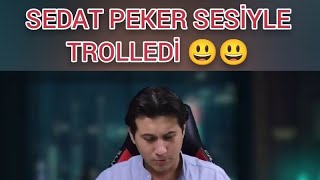 Sedat Peker Sesiyle Trolledi 😳😮😂 taklitmantv [upl. by Okihcas]